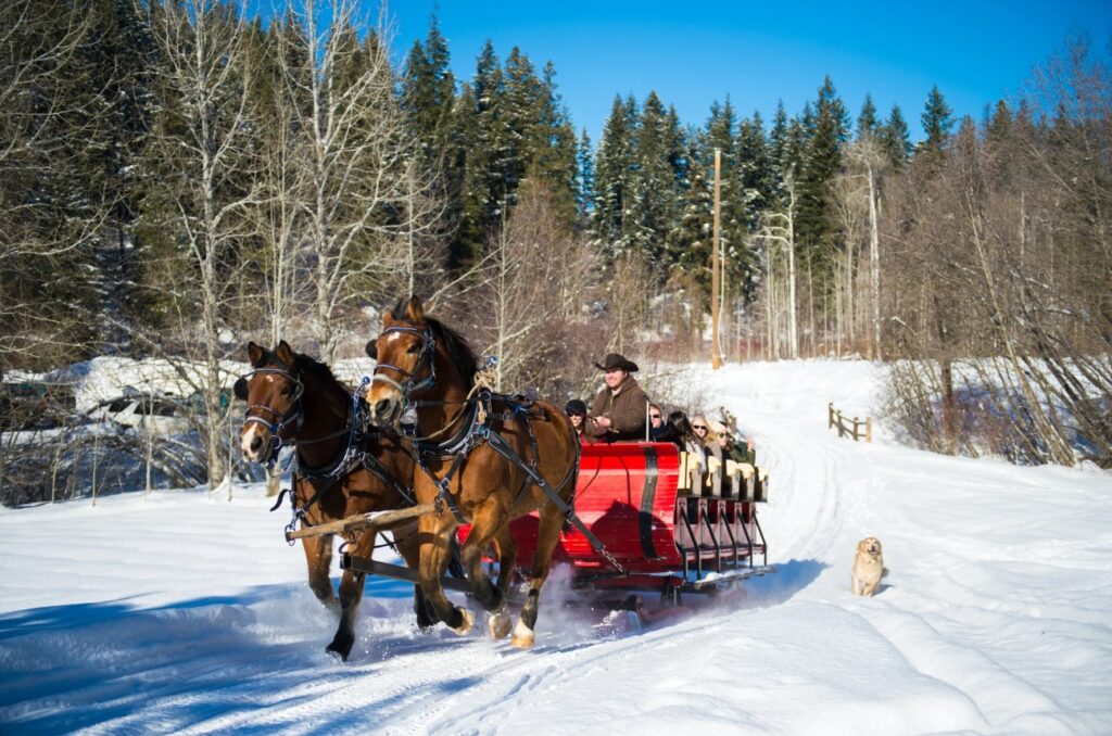 NW Comfy Cabins | Leavenworth Cabin Rentals - Vacation Rentals ...