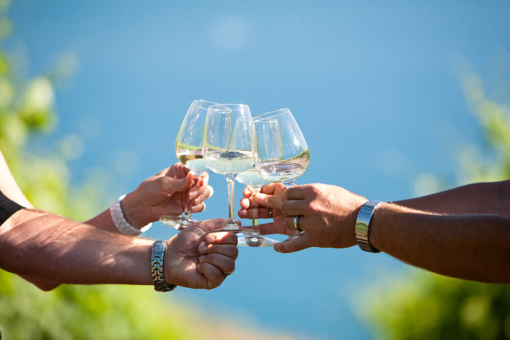 A group of friends clinking glasses at one of the best Washington State Wine Regions