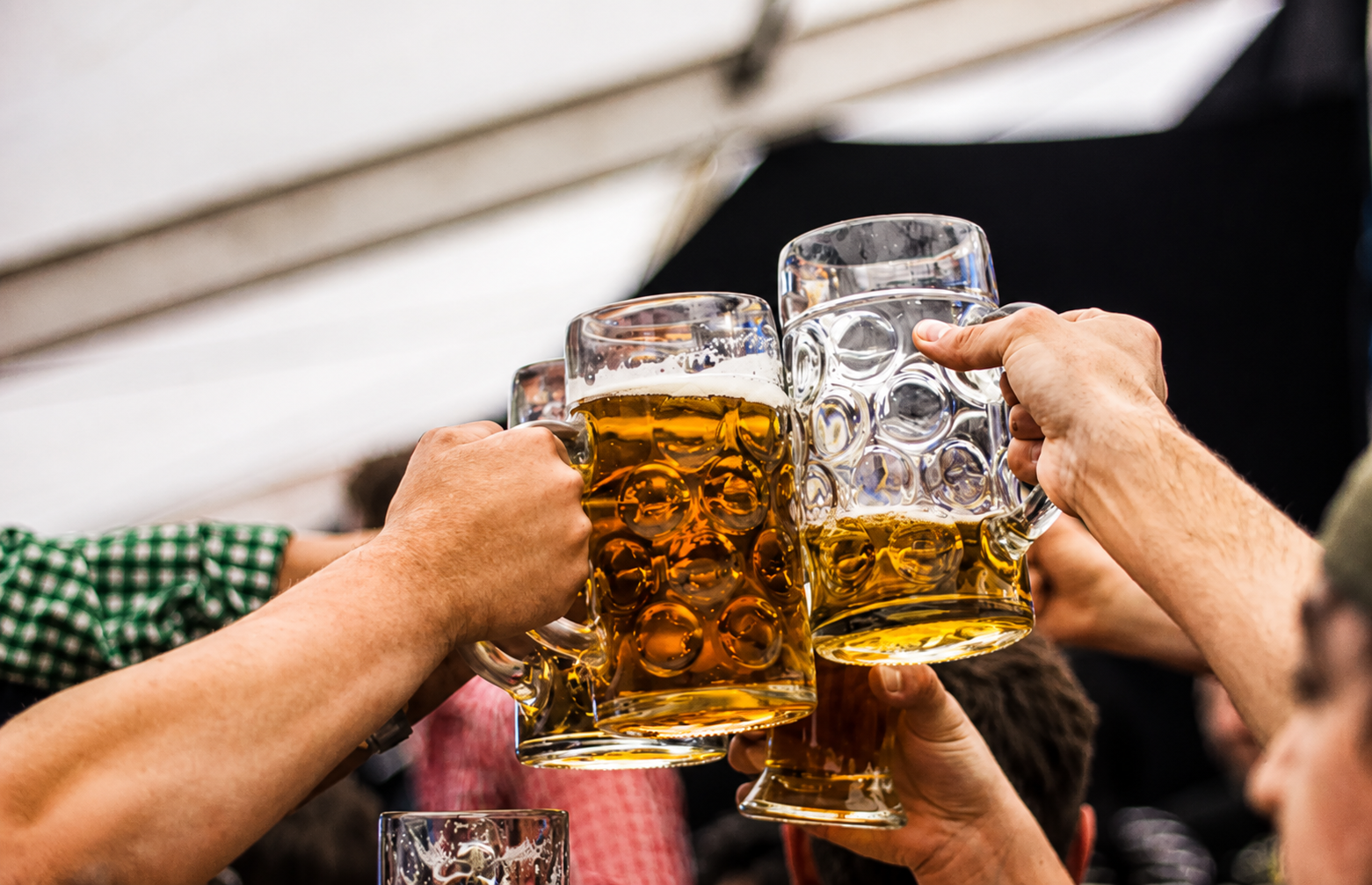 Friends raising Bavarian beer steins